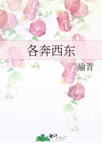 熊仔超级找茬